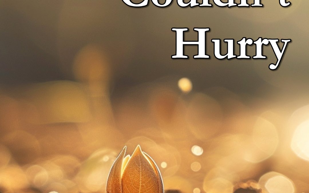 The Seed that Couldn’t Hurry